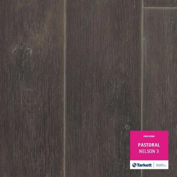 Линолеум Tarkett Pastoral Nelson 3 3 м